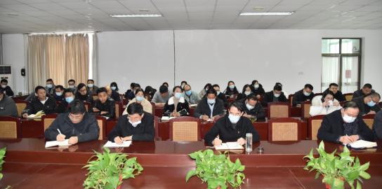 公司召開黨員發(fā)展對象、入黨積極分子 “雙推”會議