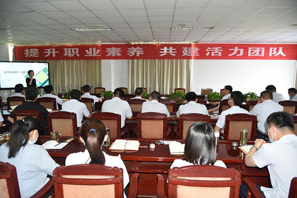 公司舉辦“提升職業(yè)素養(yǎng) 共建活力團隊”專題培訓