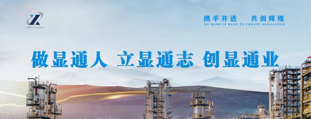 公司榮獲多項(xiàng)榮譽(yù)