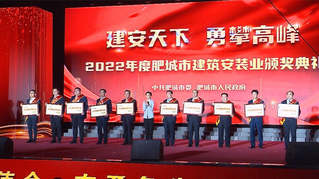 公司榮獲多項(xiàng)榮譽(yù)