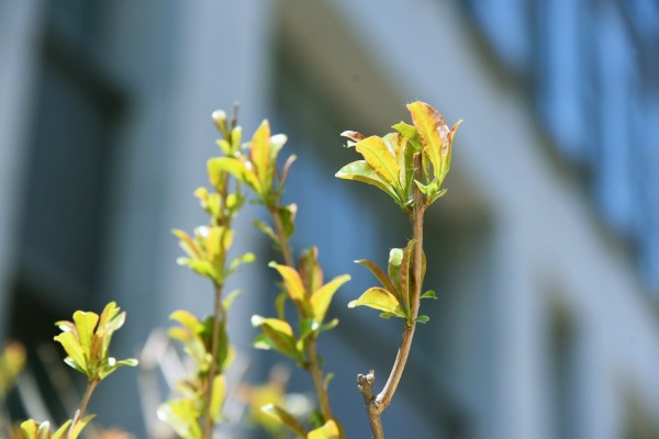 司園春景盛，奮進(jìn)正當(dāng)時(shí)