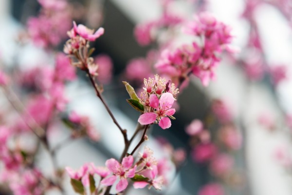 司園春景盛，奮進(jìn)正當(dāng)時(shí)