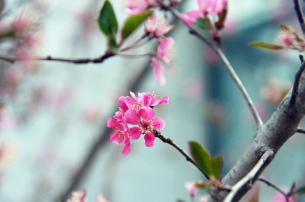 司園春景盛，奮進(jìn)正當(dāng)時(shí)