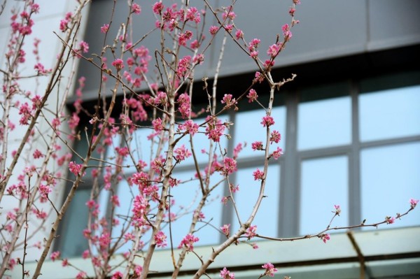 司園春景盛，奮進(jìn)正當(dāng)時(shí)